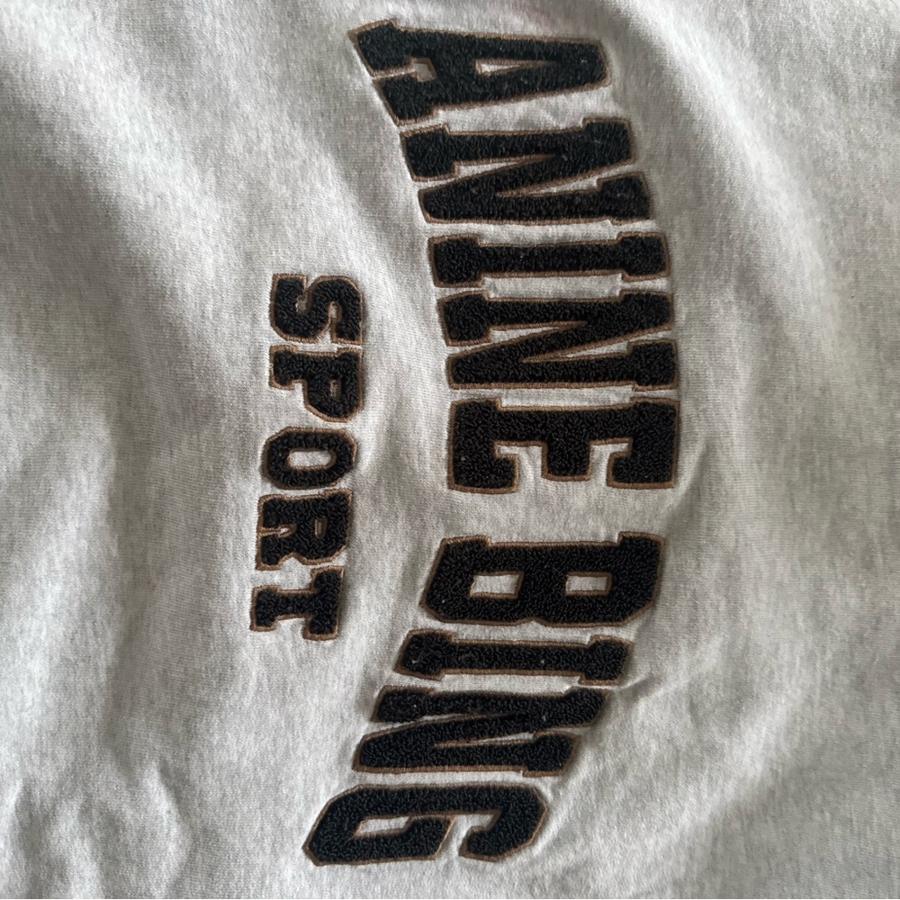 Anine Bing Sport Gray Sweatshirt